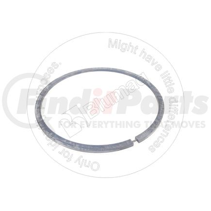 Blumaq 1M-2910 Multi-Purpose Seal Ring - Iron, 199.14 mm. OD x 4.72 mm. Thick