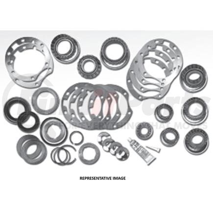 Dana 121769 Kit-Basic Overhaul