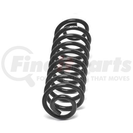 Fabtech FTS21160 Coil Spring Kit; Rear; For 6 in. Lift; For PN[K1078];