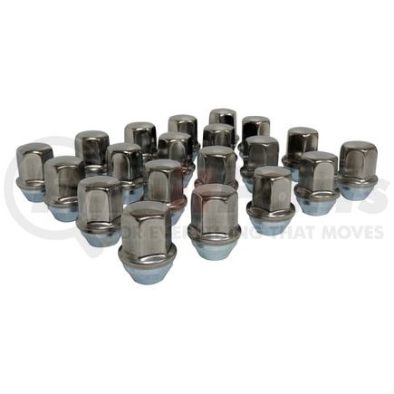 Crown 6509422K Lug Nut Kit; 20 Piece; Stainless;