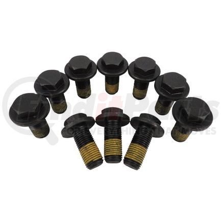 Crown 68398733AA Ring Gear Bolt Kit