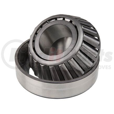 World American 805096 Differential Pinion Bearing - Head