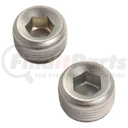 Haldex SN154GJ Head Pipe Plug - 3/8 in. Socket, 2/Pack, Pre-Applied Thread Sealant, Used to Plug Ports