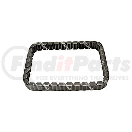 Helmar Forklift Parts 4942194 CHAIN (P.T.O.) CHAIN (P.T.O.)