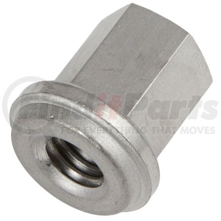East Penn Manufacturing Co. 05419 Battery Nut - Stainless Steel Closed Top 3/8 Inch Stud For Group 31 Battery Terminals