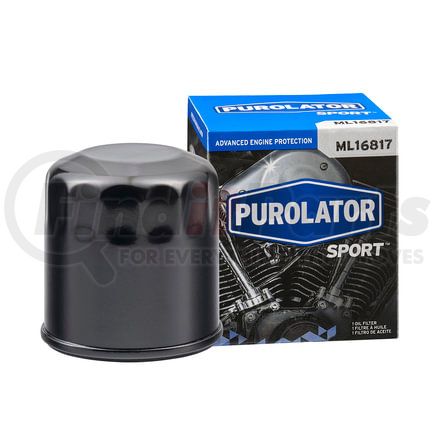 2006 Polaris Sportsman 450 Oil Filter 2006 Polaris Sportsman 450 Oil Filter