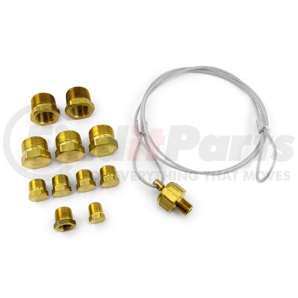 Tramec Sloan TSJKITF1 Air Tank Plug & Bushing Accessory Kit