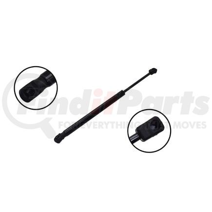 FCS Struts 80038