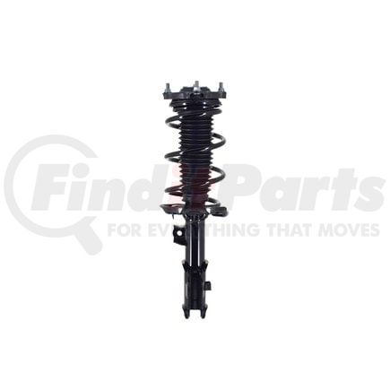 FCS Struts 1334466L