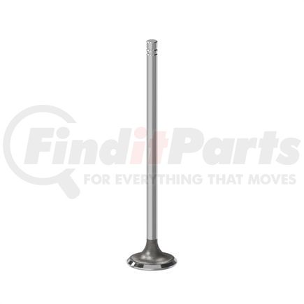 FP Diesel FP-1478211