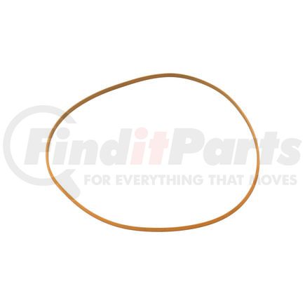 FP Diesel FP-1552793 Sealing Ring, Liner