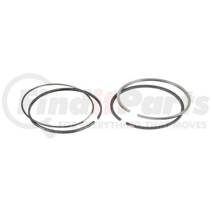 FP Diesel FP-1842552 Ring Set - Single Cylinder