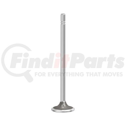 FP Diesel FP-2243028 Engine Intake Valve