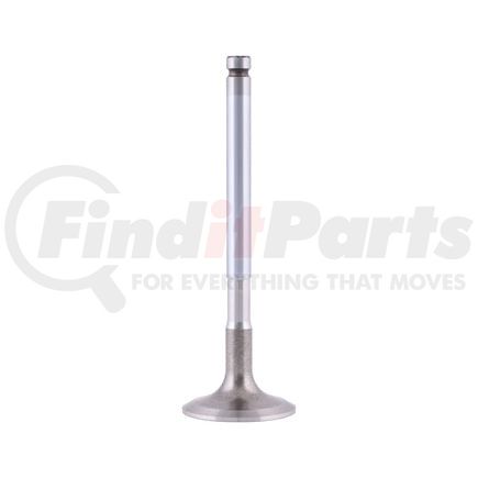 FP Diesel FP-2255499