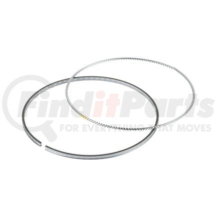 FP Diesel FP-2382704 Piston Oil Ring