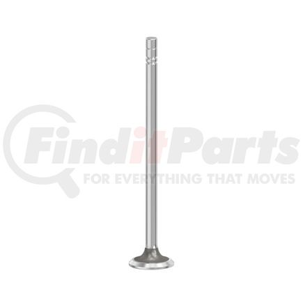 FP Diesel FP-2418383 Engine Exhaust Valve