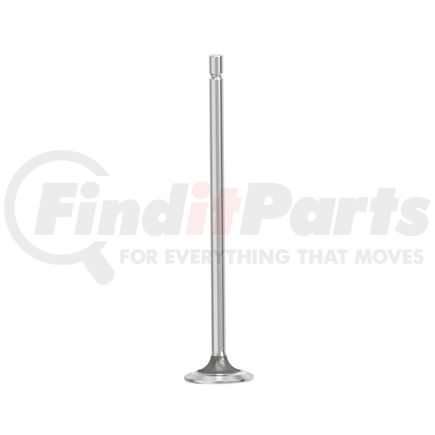 FP Diesel FP-2418382 Engine Intake Valve