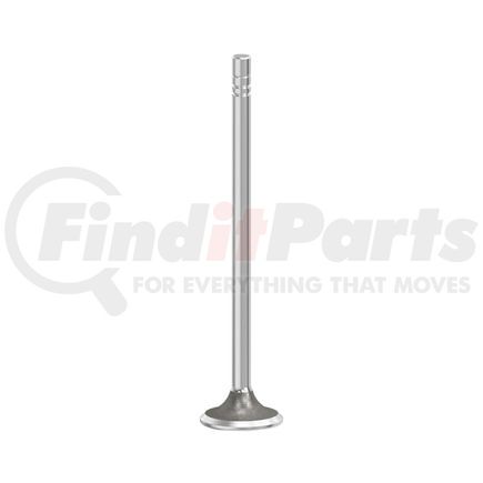 FP Diesel FP-2481467