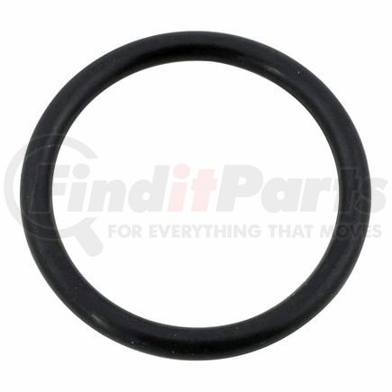 FP Diesel FP-252483 O-RING OIL COOLER TBE
