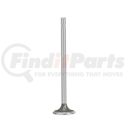 FP Diesel FP-2527802 Engine Intake Valve