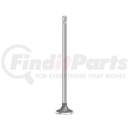 FP Diesel FP-2941685 Engine Exhaust Valve