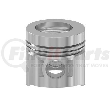 FP Diesel FP-2977751