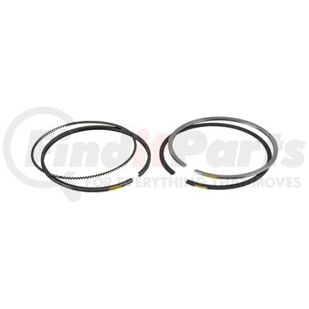 FP Diesel FP-3802422 Ring Set - Single Cylinder