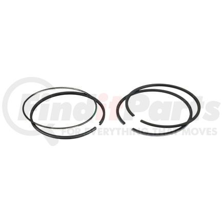 FP Diesel FP-3802951 Ring Set - Single Cylinder