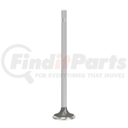 FP Diesel FP-4907200