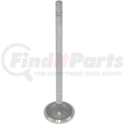 FP Diesel FP4907199 Valve, Intake - STD
