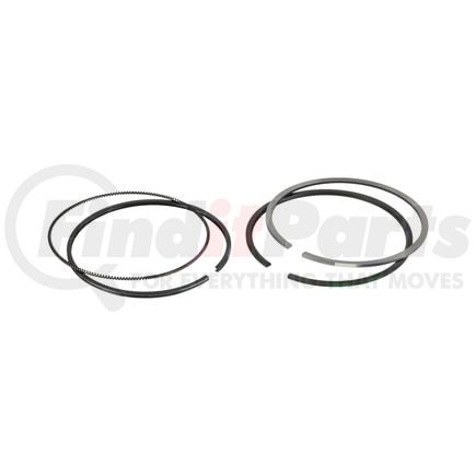FP Diesel FP-4955169 RING SET, SINGLE CYLINDER