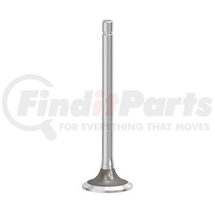 FP Diesel FP-4986317 VALVE, INTAKE