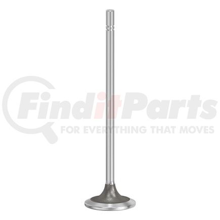 FP Diesel FP-5008527