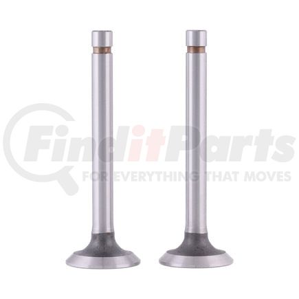FP Diesel FP-V1012 Engine Intake Valve