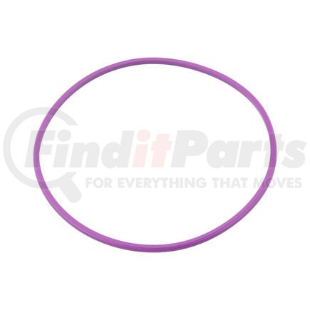 FP Diesel FPA0229975345 Sealing Ring, Liner