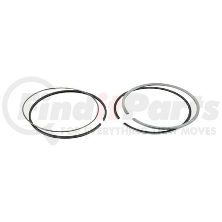 FP Diesel FP-A4720300424 Ring Set - Single Cylinder
