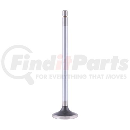 FP Diesel FP-R520223 Engine Intake Valve