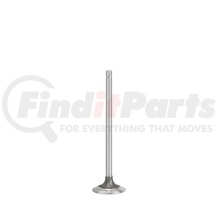 FP Diesel FP-R536135 VALVE, INTAKE