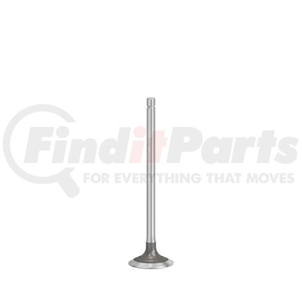 FP Diesel FP-R536136 VALVE, EXHAUST