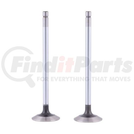 FP Diesel FP-RE518081 VALVE KIT, EXHAUST