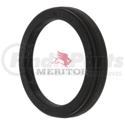 Meritor MER0243