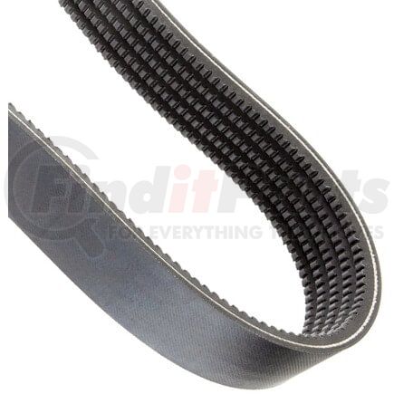 Continental AG 5/3VX560 Banded Cogged V-Belt, 5 Ribs, 56 in Outside Length, Single-Sided