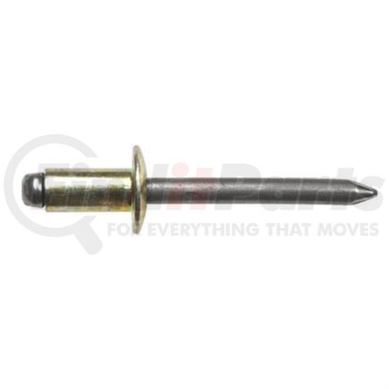 Disco Automotive Hardware 9885PK ALL STL BMPR RIVETS