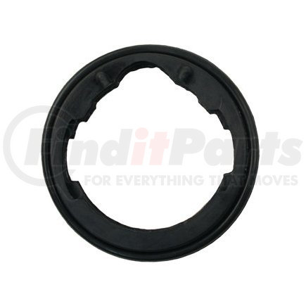 Engine Coolant Thermostat Gasket