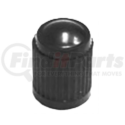 Tire Mechanic's Resource TI100-100