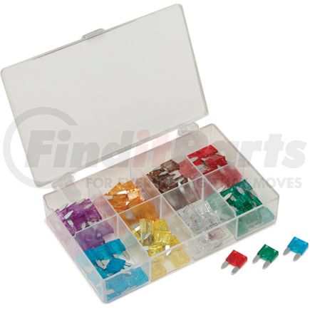 Titan 45229 Mini Blade Fuse Assortment Ideal for Professional Electrical and Hardware Components Use
