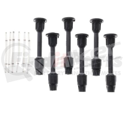 Walker Products 900P20106