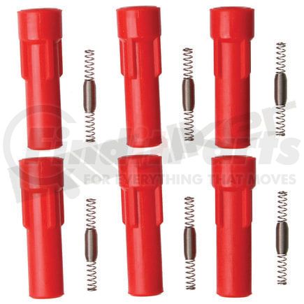 Walker Products 900-P2039-6