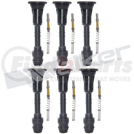 Walker Products 900-P2049-6