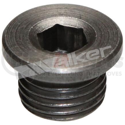 Walker Products 90-203
